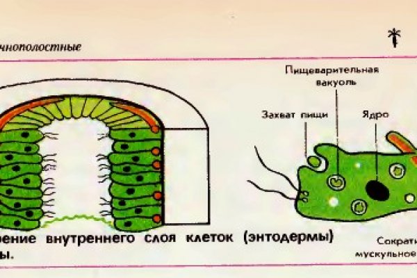 Kraken зеркало рабочее