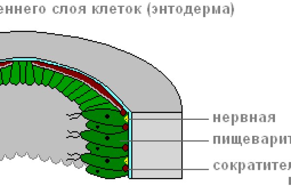 Tor зеркала