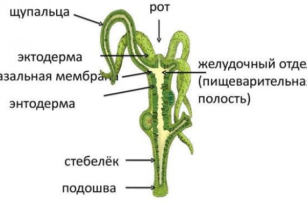 Кракен не работает сегодня