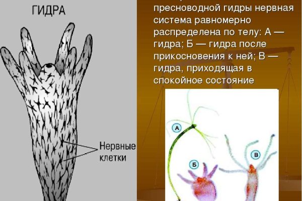 Кракен в обход