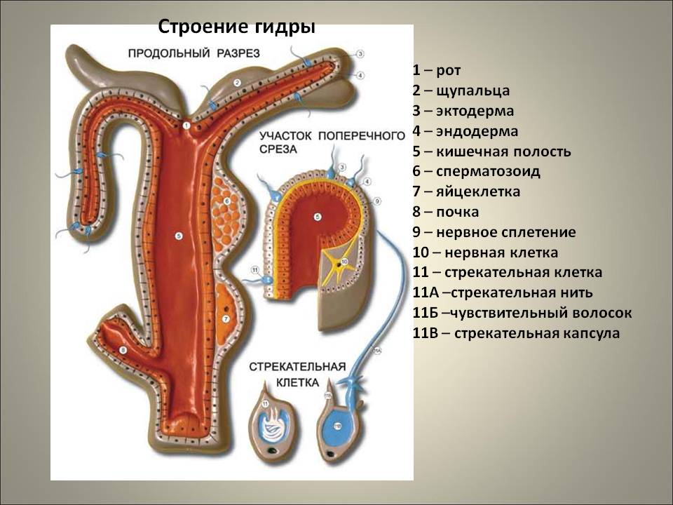 Вход на кракен зеркало